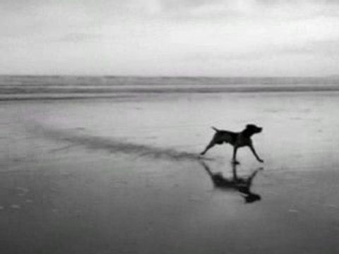 Je t'ai toujours aimee - remix et reprise