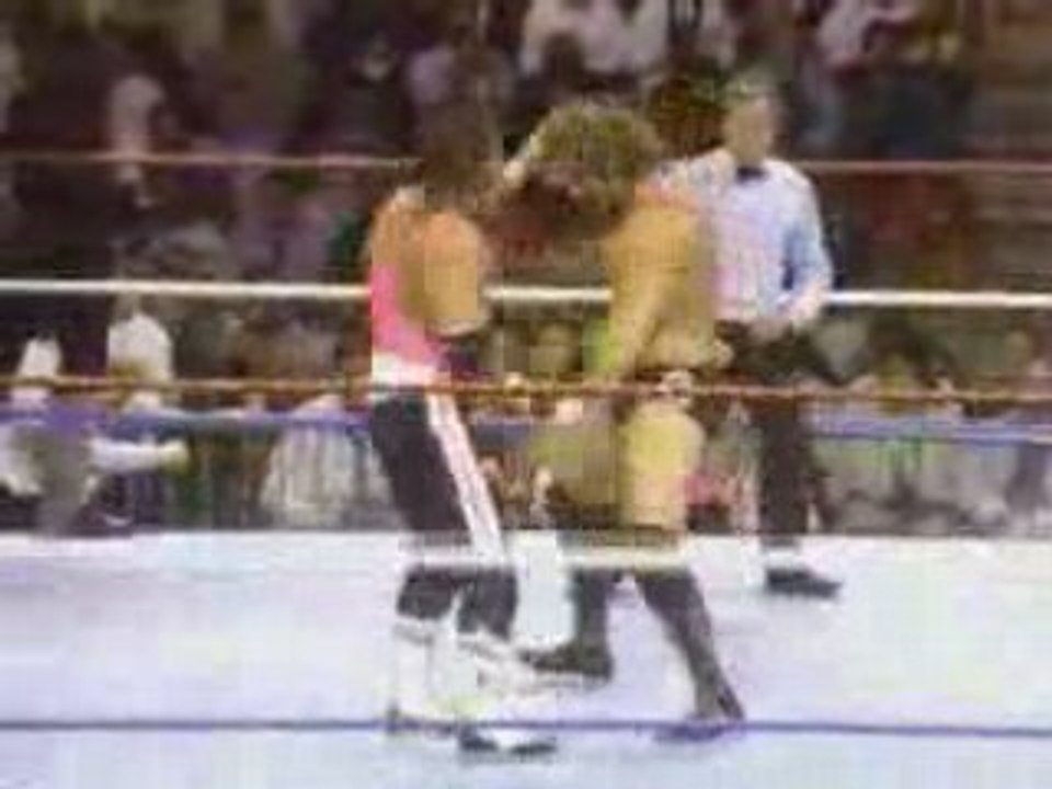 Survivor Series 1990 - The Undertaker Debuts Part 2