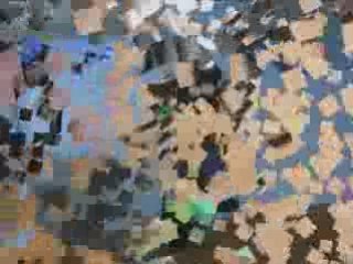 Tao et les chaussures de Papa 03.09.07