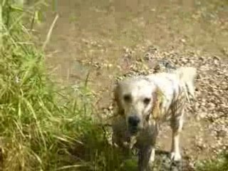 Cuzco et Calis à l'eau