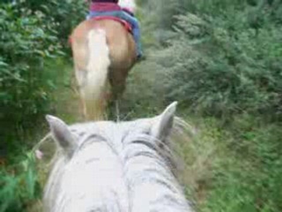 Rando =D