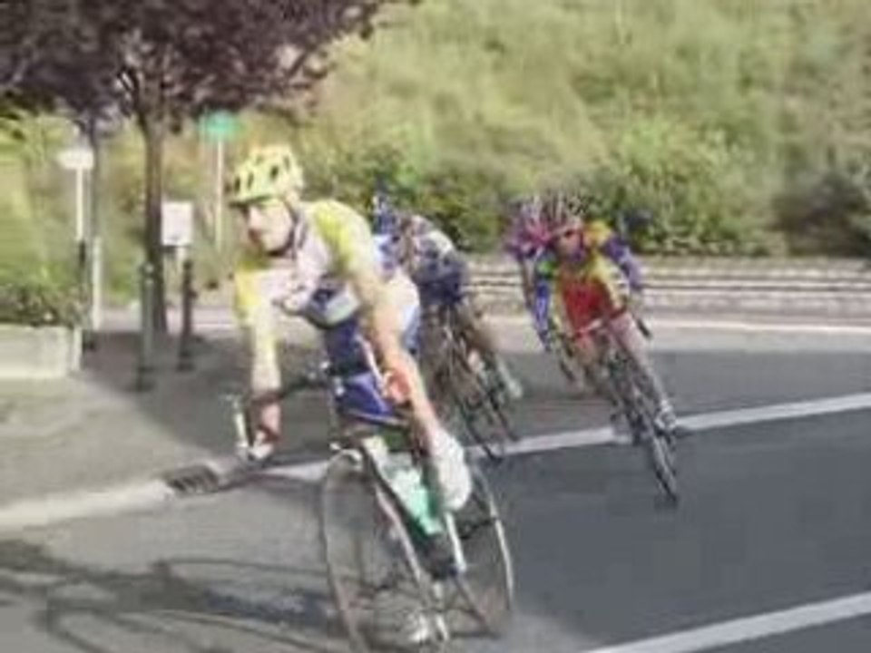 2008_falk