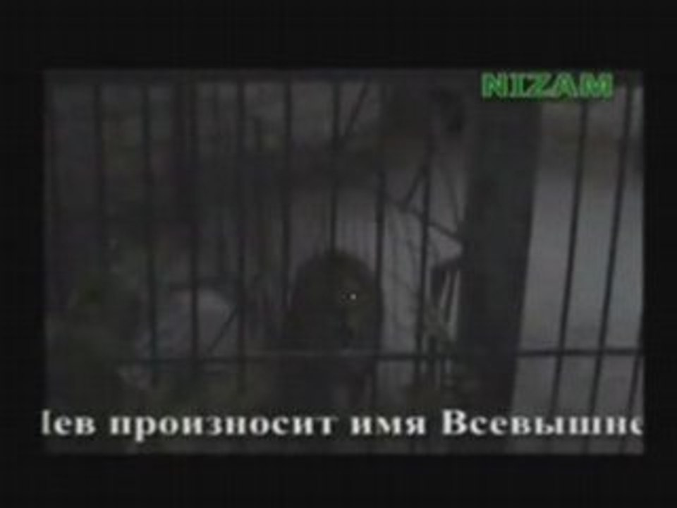 Miracles of Islam Allah