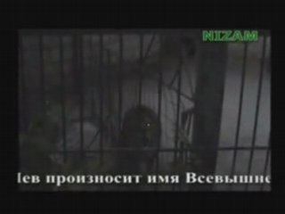 Miracles of Islam Allah