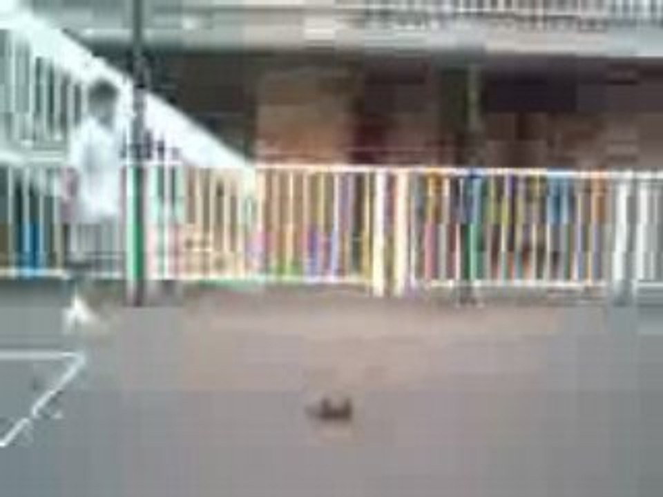 Vidéo012