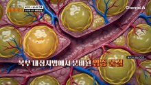 블랙박스 생사의 기록! 생명을 살린 골든타임