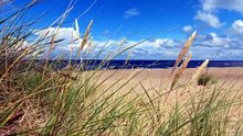Sérénité au Bord de la Mer 🌊 _ Musique Relaxante