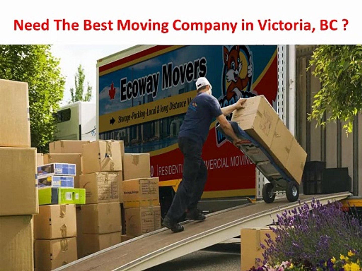 ⁣Ecoway Movers : Moving Company in Victoria, BC | 888–969–2003