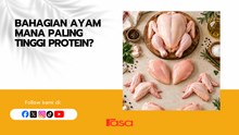 Bahagian Ayam Mana Paling Tinggi Protein?
