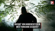 Bigfoot 'von Hundebesitzer in West Yorkshire gesichtet'