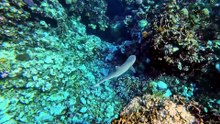 The Red Sea Coast of Saudi Arabia Is Unreal