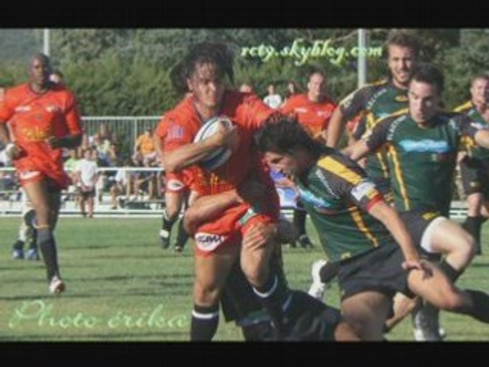 Rcch rct 082008 chiens poubelle rcch