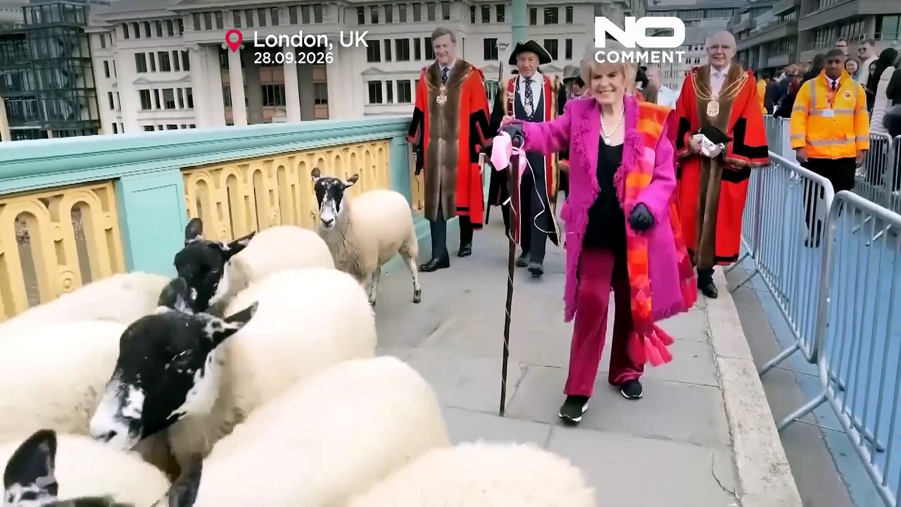 Southwark Bridge in London wird beim jährlichen Sheep Drive zur Wollparade