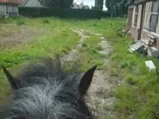 Vidéo Rodéo galop (3ans) et moi
