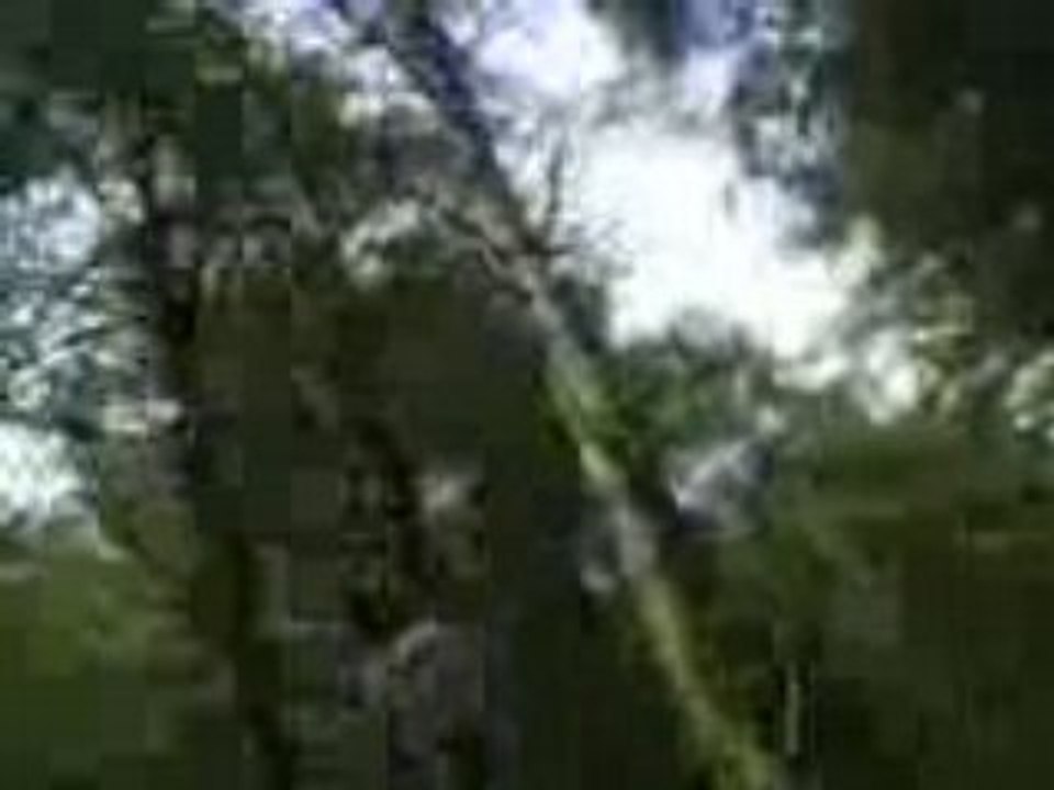 MOV00019