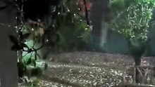 Impresionante granizo en Córdoba