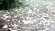 Granizo en Córdoba