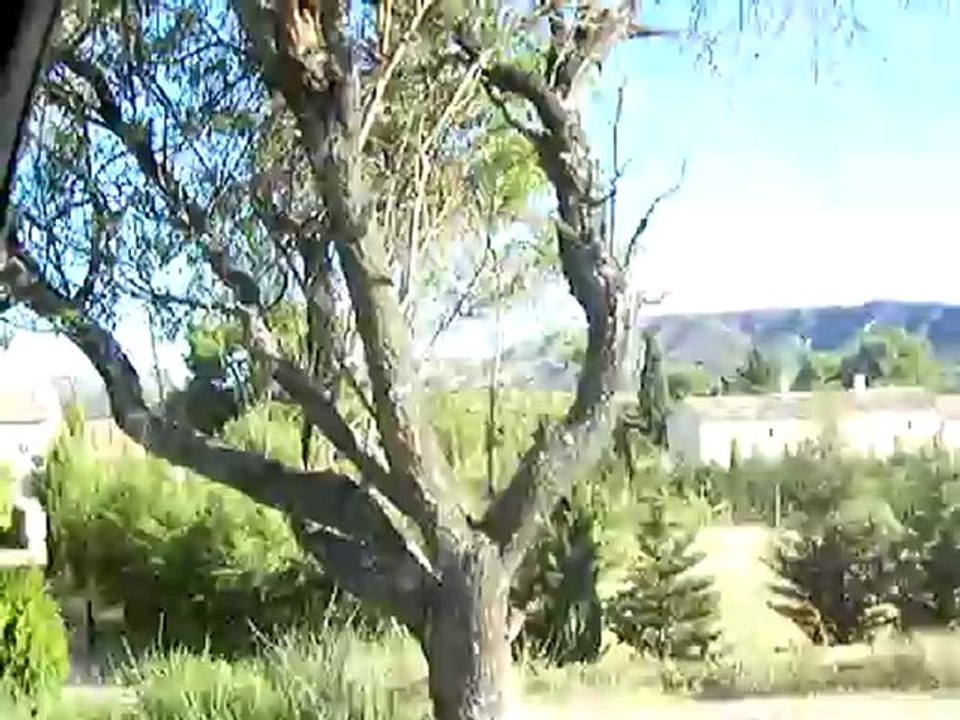 Vacances été 2008 085