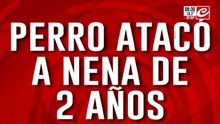 Alerta pitbulls: perro atacó a nena de dos años y la dejó al borde de la muerte