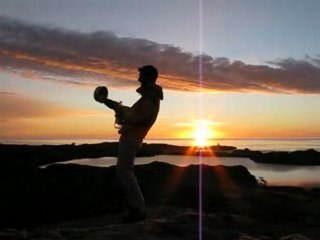 Le tueur de mouches en série