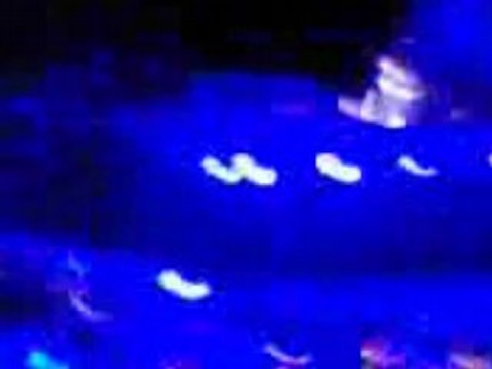 TokioHotel-Nancy-Ich Bin Da (1)