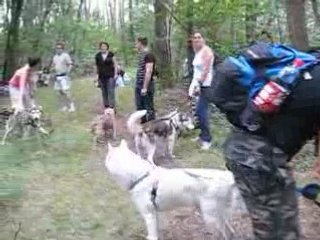 LE COIN DU PIQUE NIQUE