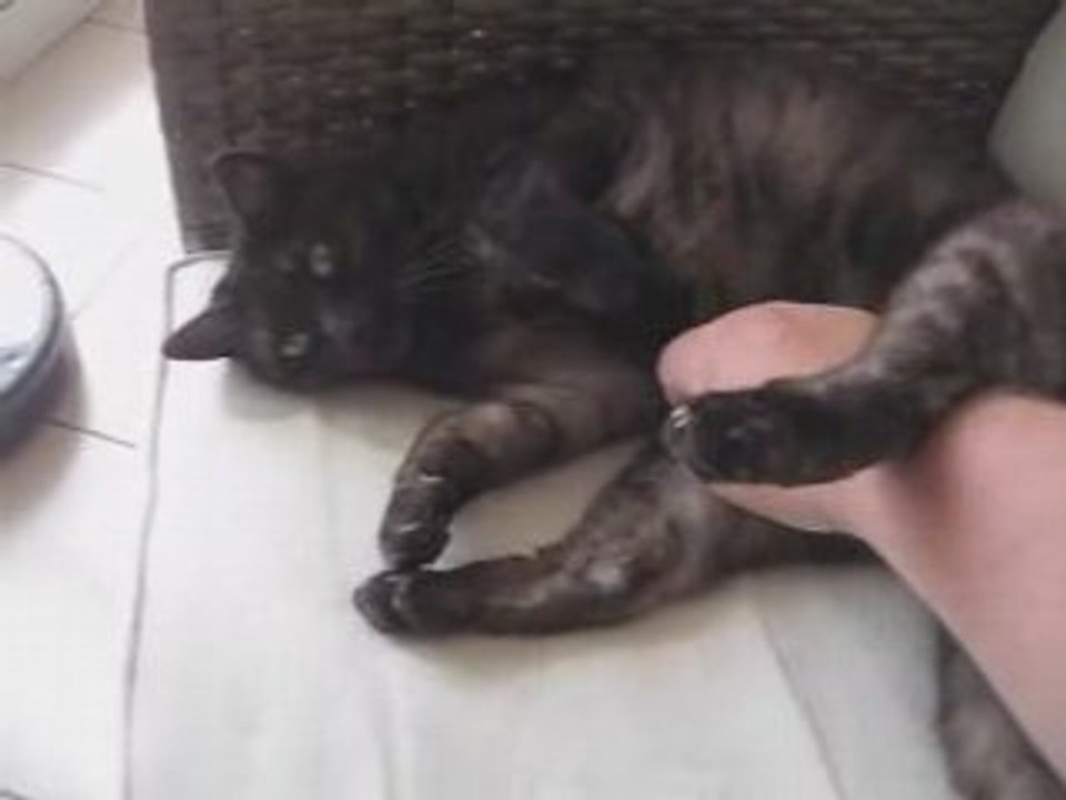 She sleep and she dont care