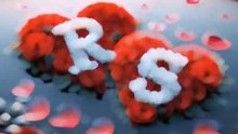 Stauts,(R.S) mary name k shat tera name ho // short video
