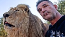 Vayetse’s Amazing Recovery on Enrichment Walk | Lion Whisperer Wildlife Documentary