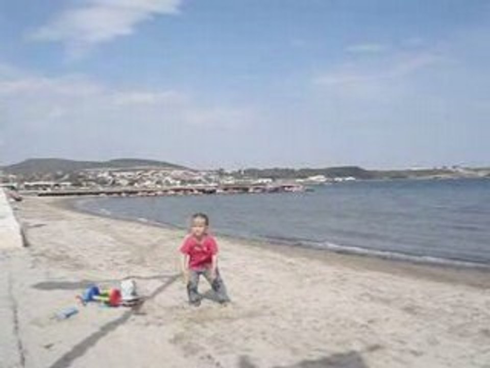 Marine*