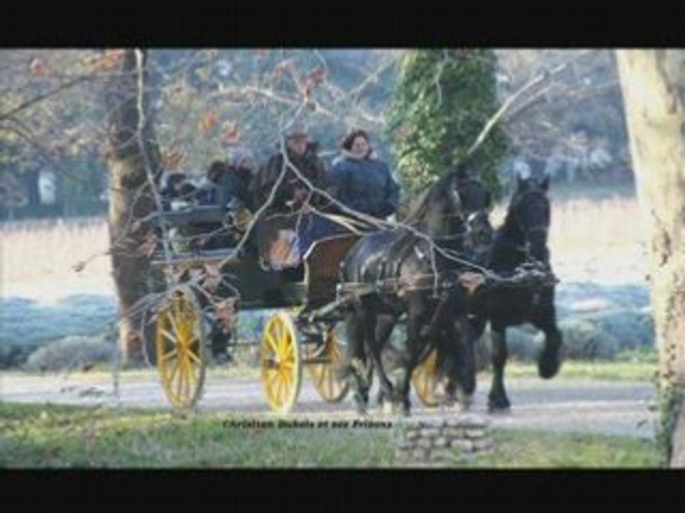 Le frison