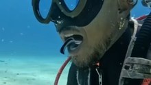 Le minuscule héros de la mer. #star #cinema #france #créateursdecontenu #créateurssuryoutube