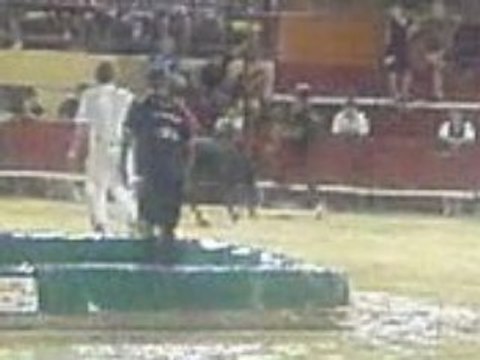 toro piscine fete mauguio 9/08/08