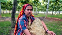 Dolamma It Seems | movie | 2026 | Official Trailer