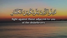 ﴿ يا أيُّها الَّذِين آمَنُوا قاتِلوا الَّذِينَ يَلُونَكُمْ من الكُفَّارِ ولْيَجِدُوا فيكم غِلْظَةً ﴾
