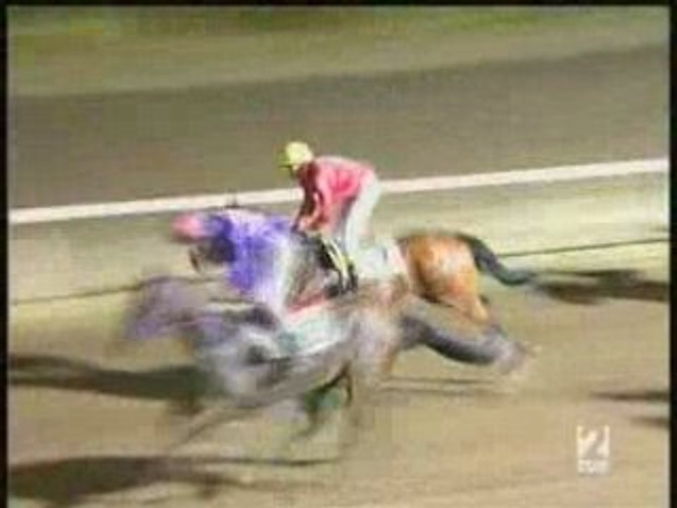 2008.08.08, nº 258 MJ (Cudeca (AyG) Expensive Problem