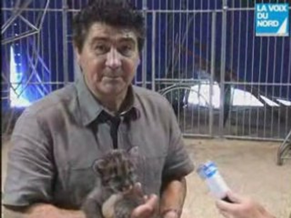 Kid Bauer : charmeur de fauves