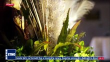 Maria Stanescu - Cand treci, Ioane, pe la noi (Bine v-am gasit, romani! - ETNO TV - 31.05.2026)