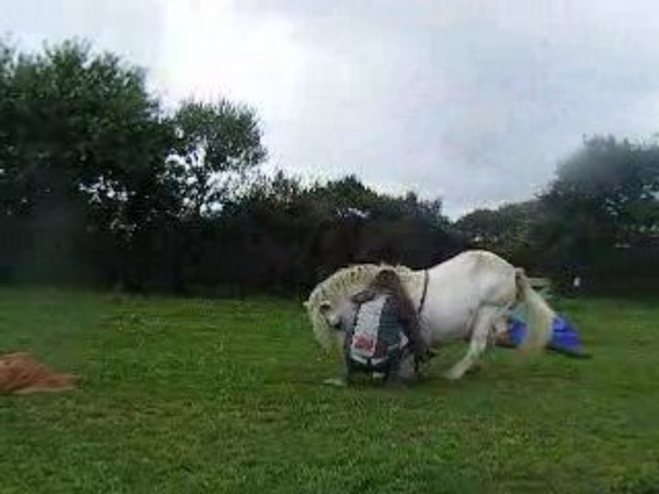 DSCF2095