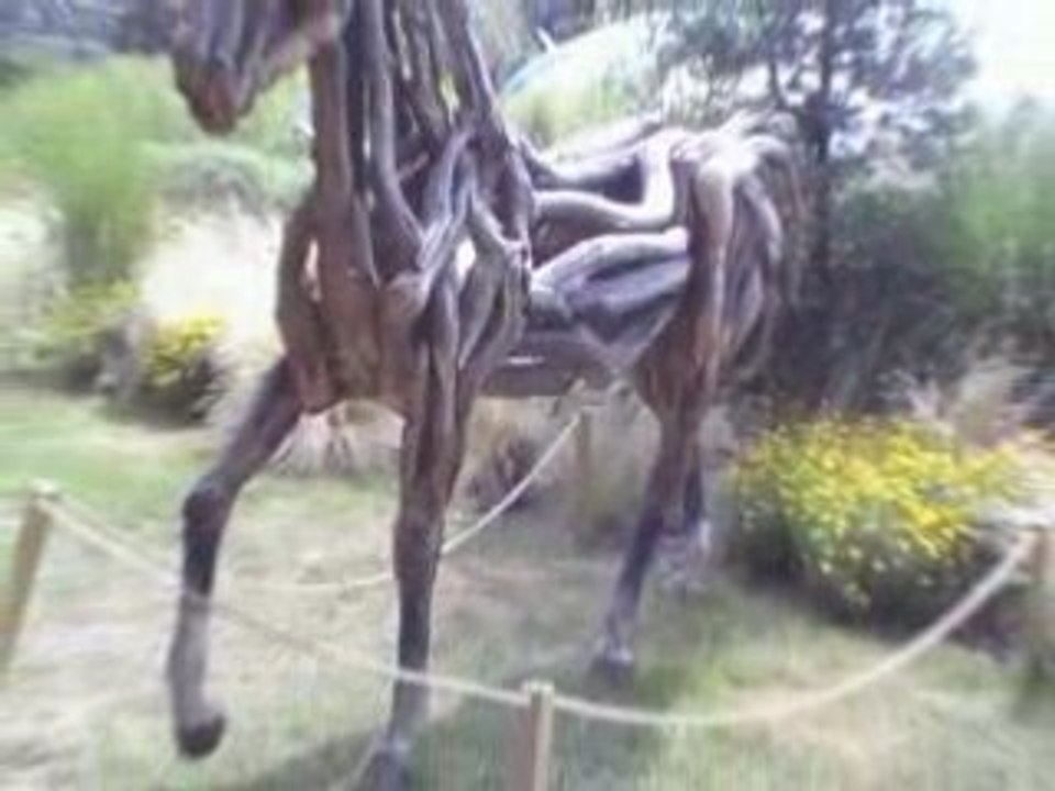 London Zoo01