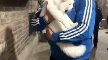 Funny moment