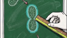 Comment mesurer l'interactivité d'un cours ? (Méthode Flanders 📊)