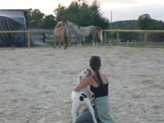 Pash et Pilou galop 2