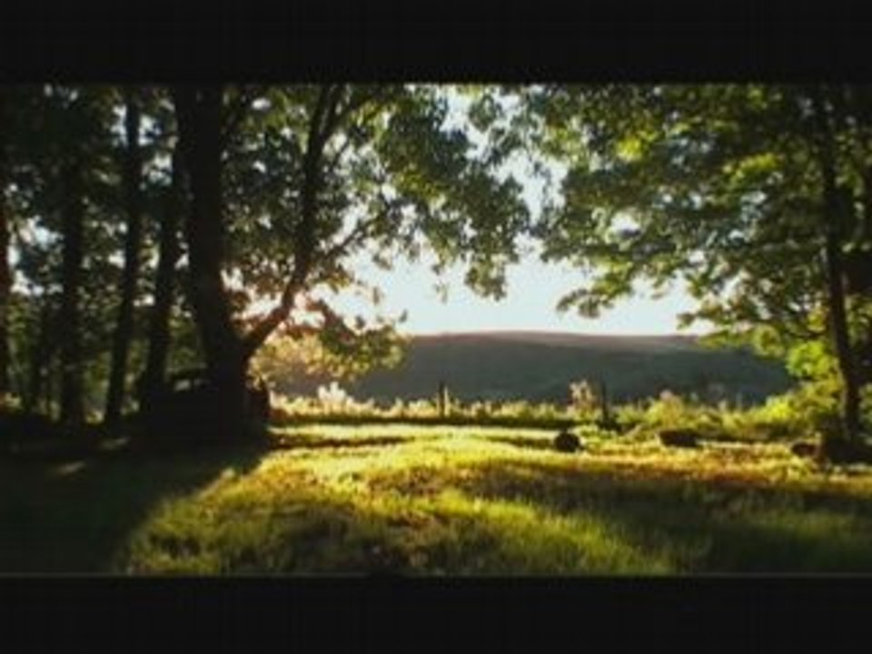 Beage trailer