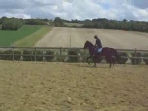 Cercle au trot main gauche