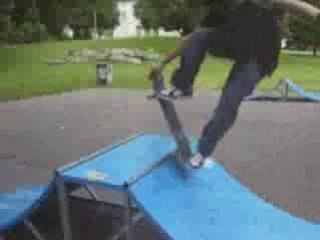 Skate morestel