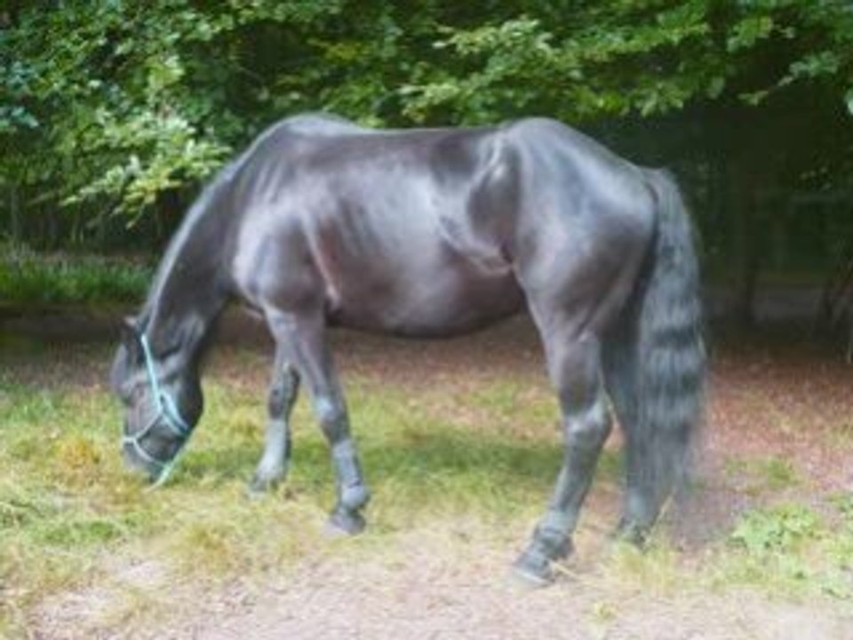 Balade sddenly i see_0001