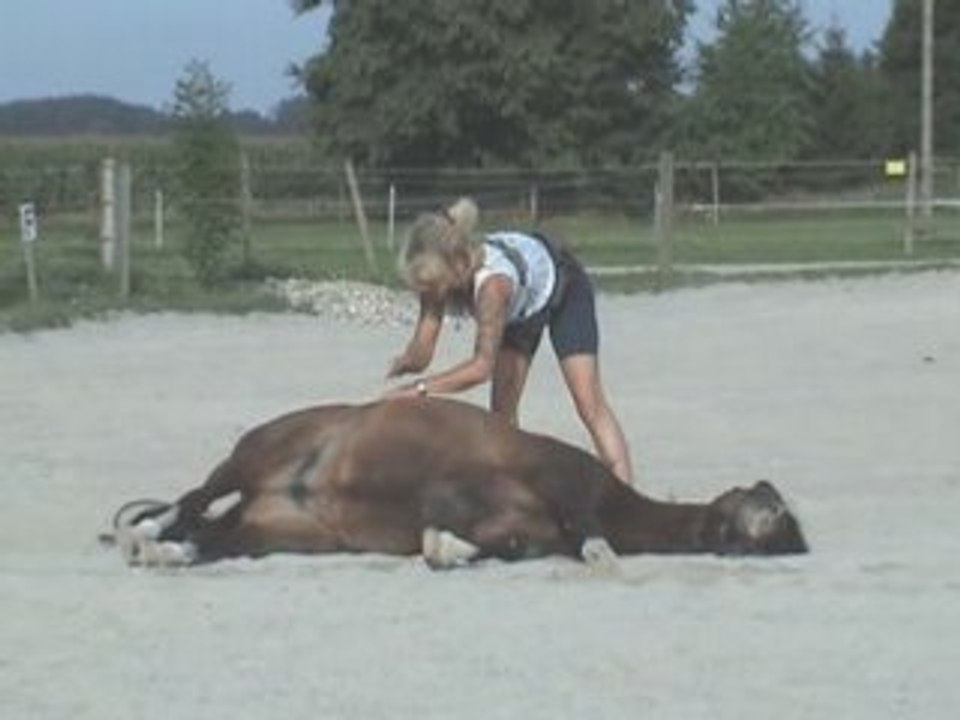 Trixie bleibt liegen