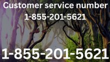 {{Full}}™ {[Official Directory]} {[Contact List]} of Priceline® CUSTOMER© SERVICEⓢ Numbers A Customer Support Guide