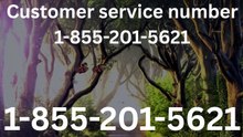 {{Official}}™ {[Full Directory]} {[List]} of Priceline® CUSTOMER© SERVICEⓢ Contacts Number A Customer Assistance Guidance